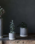 Kasvi Large Pot