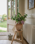 Antique Terracotta Olive Pots - Large