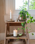 Copper Pot Planter | Medium