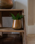 Copper Pot Planter | Small