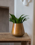 Copper Pot Planter | Small