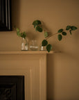 Stubby Glass Bud Vase