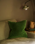Indian Cotton Velvet Cushion | Parrot