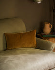 Indian Cotton Velvet Cushion | Ginger