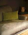 Indian Cotton Velvet Cushion | Lichen