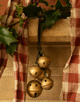 Jingle Bell Cluster