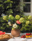 The Tuscan Terracotta Jug