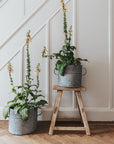zinc garden planters