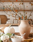 The Tuscan Terracotta Pot