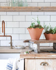 The Fine Frilly Plant Pot