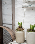 Vintage Marmalade Jars