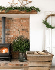 The Willow Star Collection