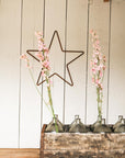 The Cotswolds Star