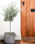 zinc garden planters