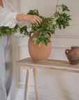 Elga Terracotta Urn
