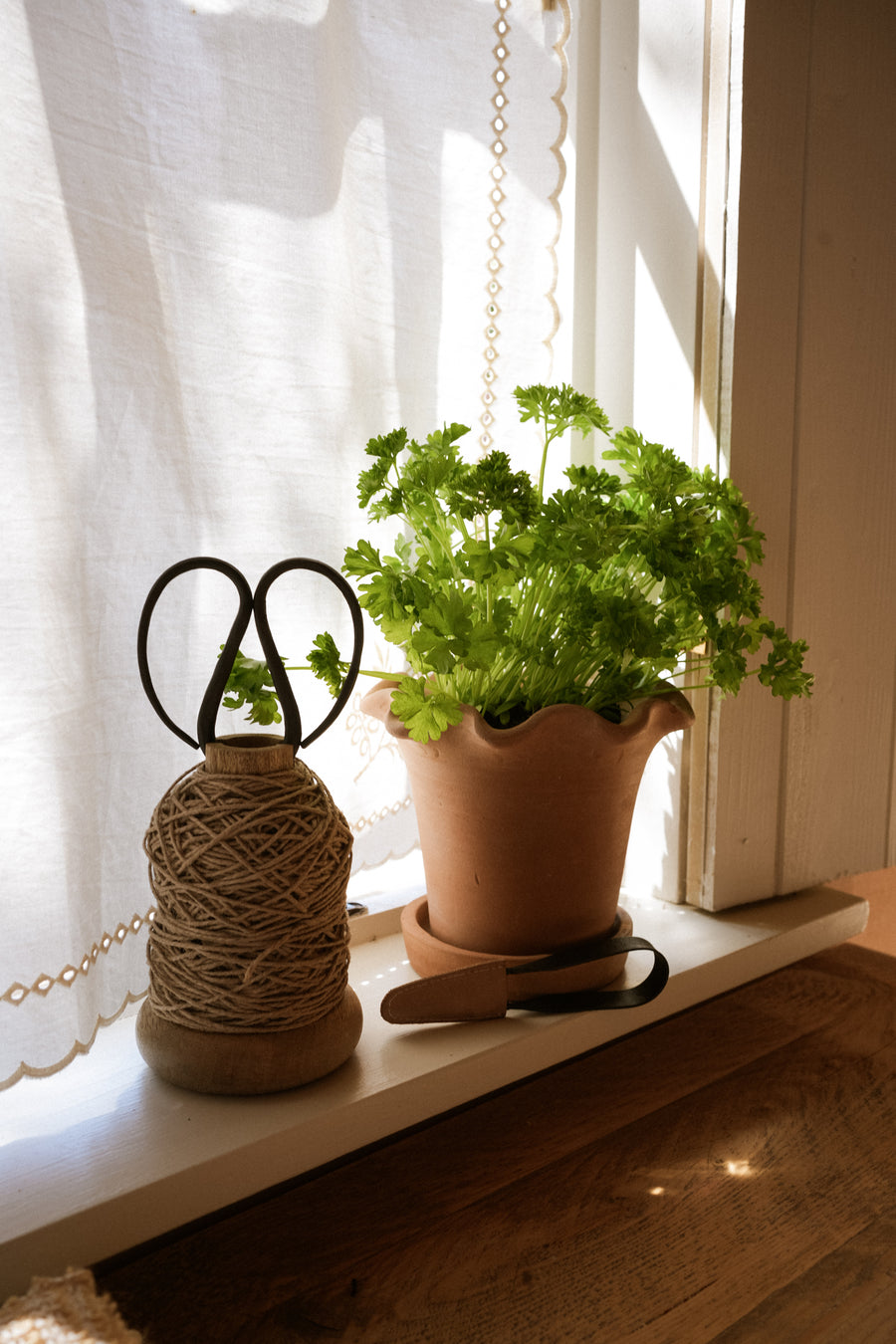 Garden Twine & Scissors (in cotton bag)