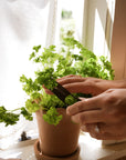 Herb Snippers (in Cotton Bag)