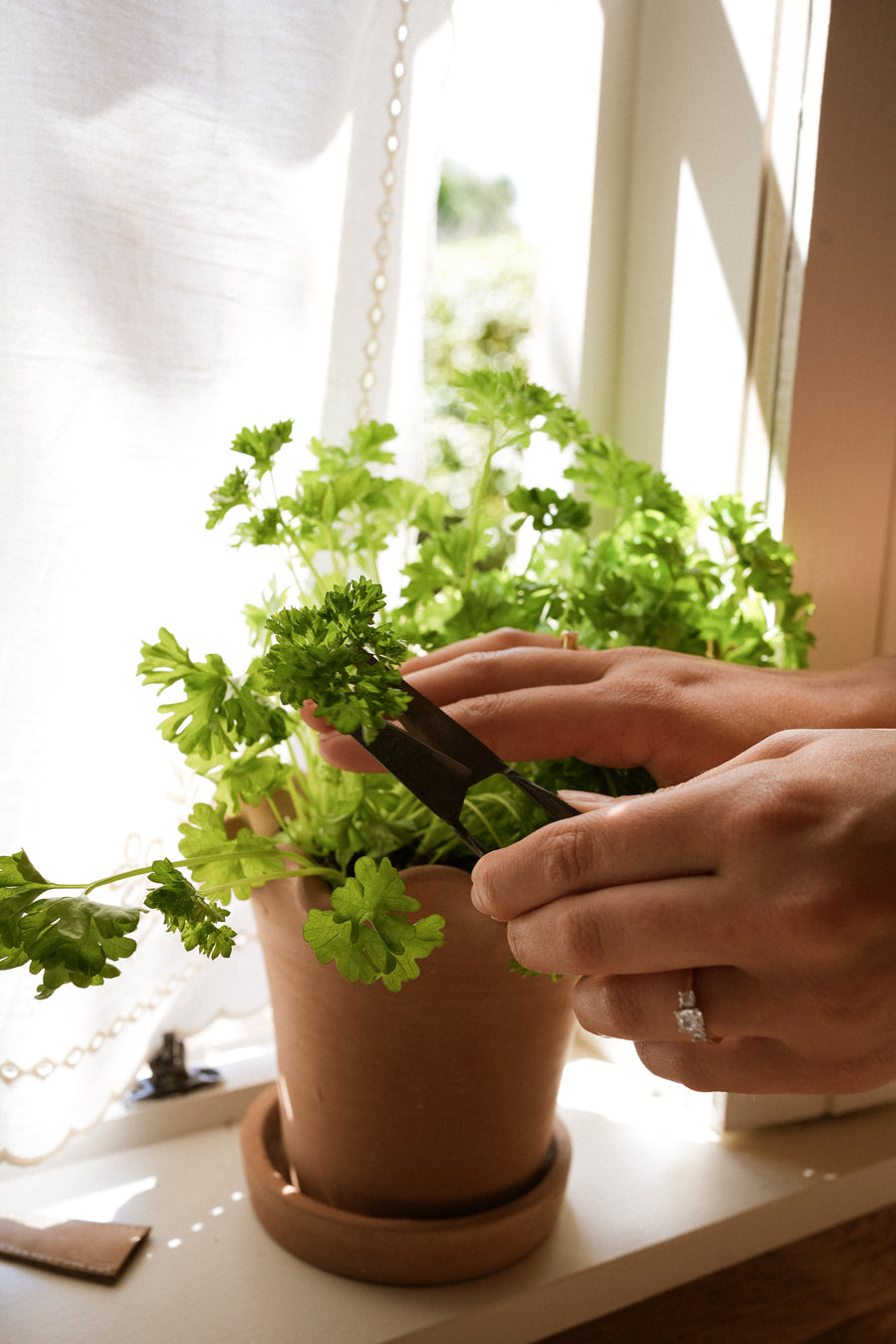 Herb Snippers (in Cotton Bag)