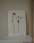 Pressed Wildflower Prints