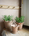 The Frilly Plant Pot