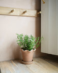 The Frilly Plant Pot