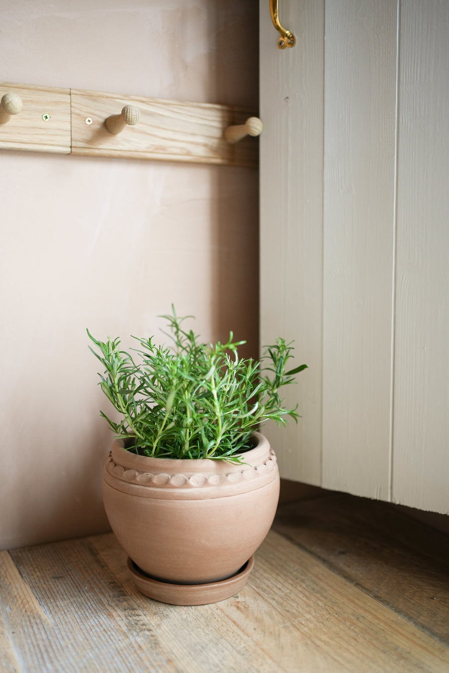 The Tuscan Plant Pot