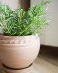 The Tuscan Plant Pot