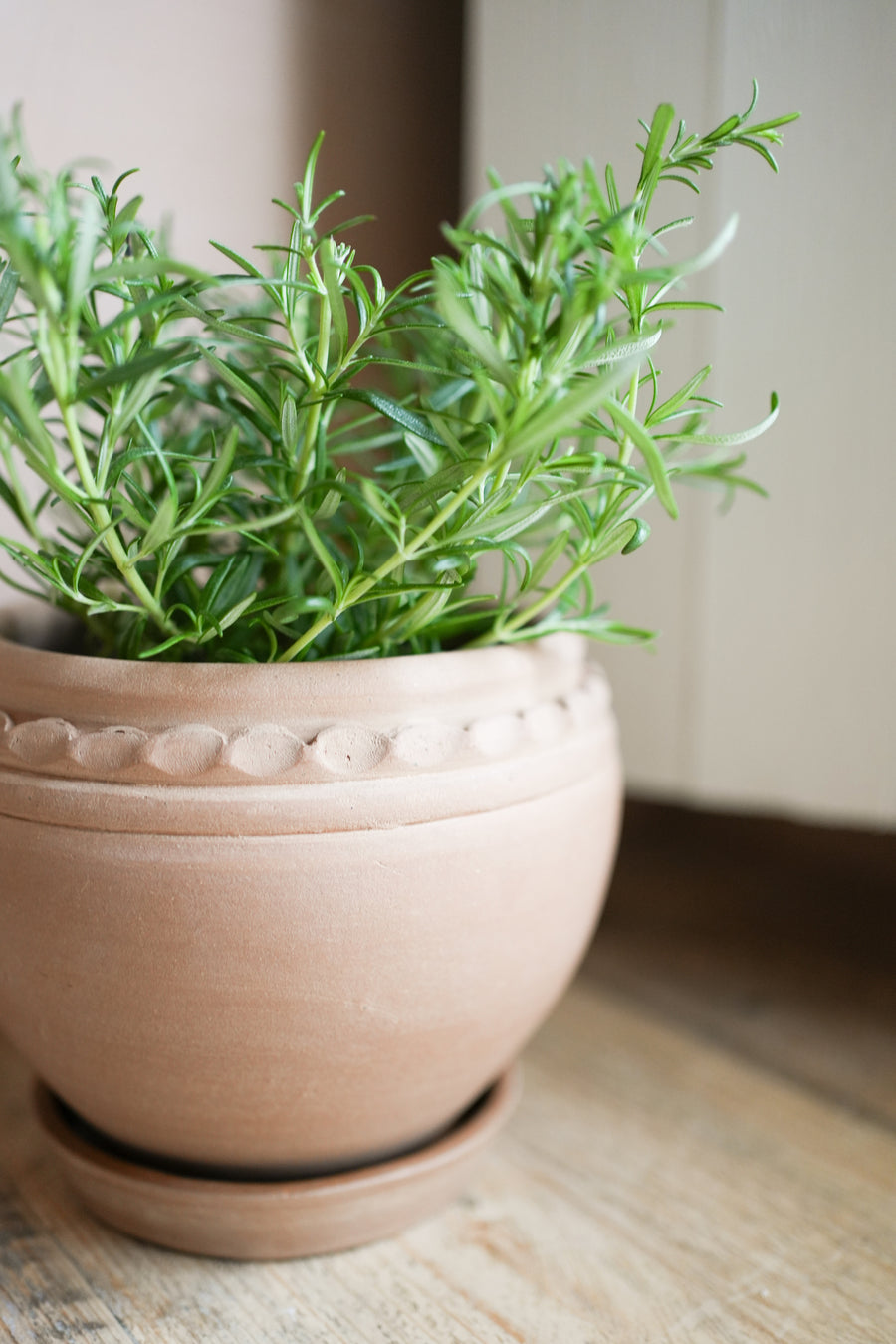 The Tuscan Plant Pot