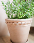 The Tuscan Plant Pot