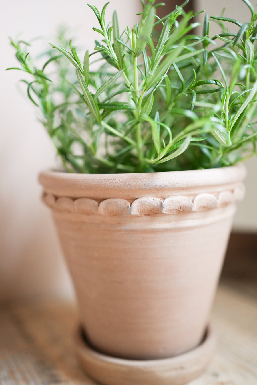 The Tuscan Plant Pot