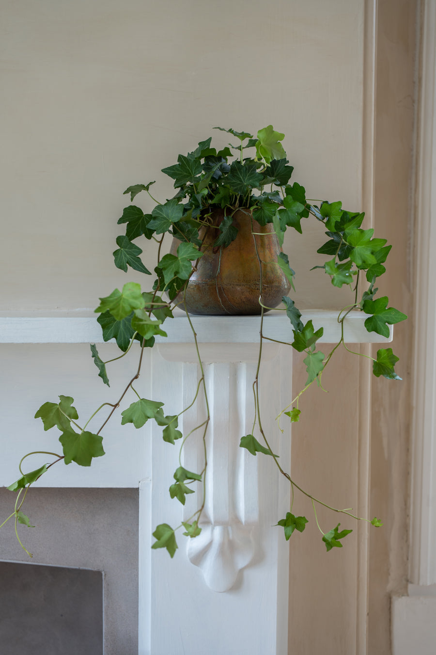 Copper Pot Planter | Medium