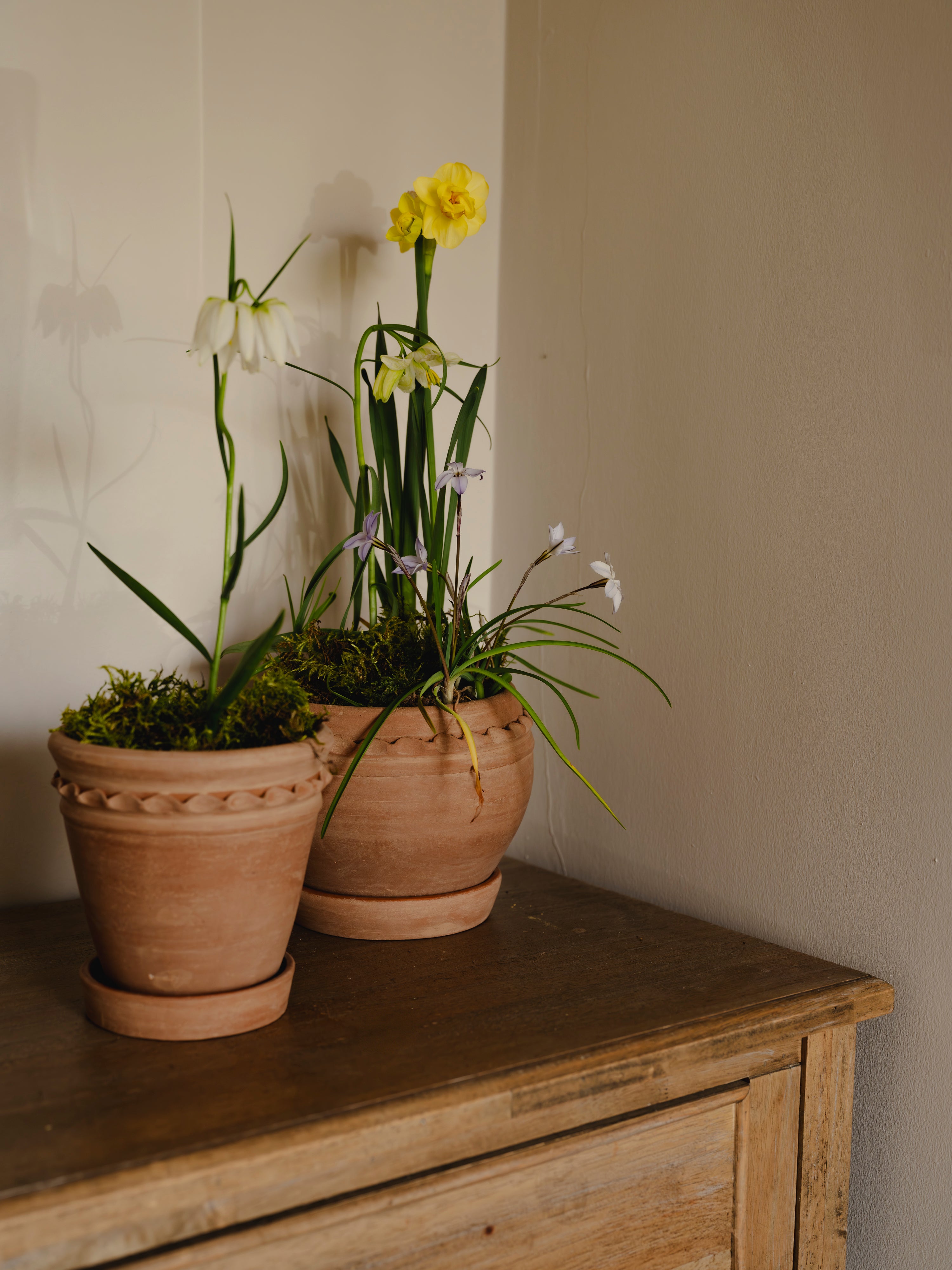The Tuscan Plant Pot
