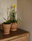 The Tuscan Plant Pot