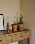The Tuscan Plant Pot