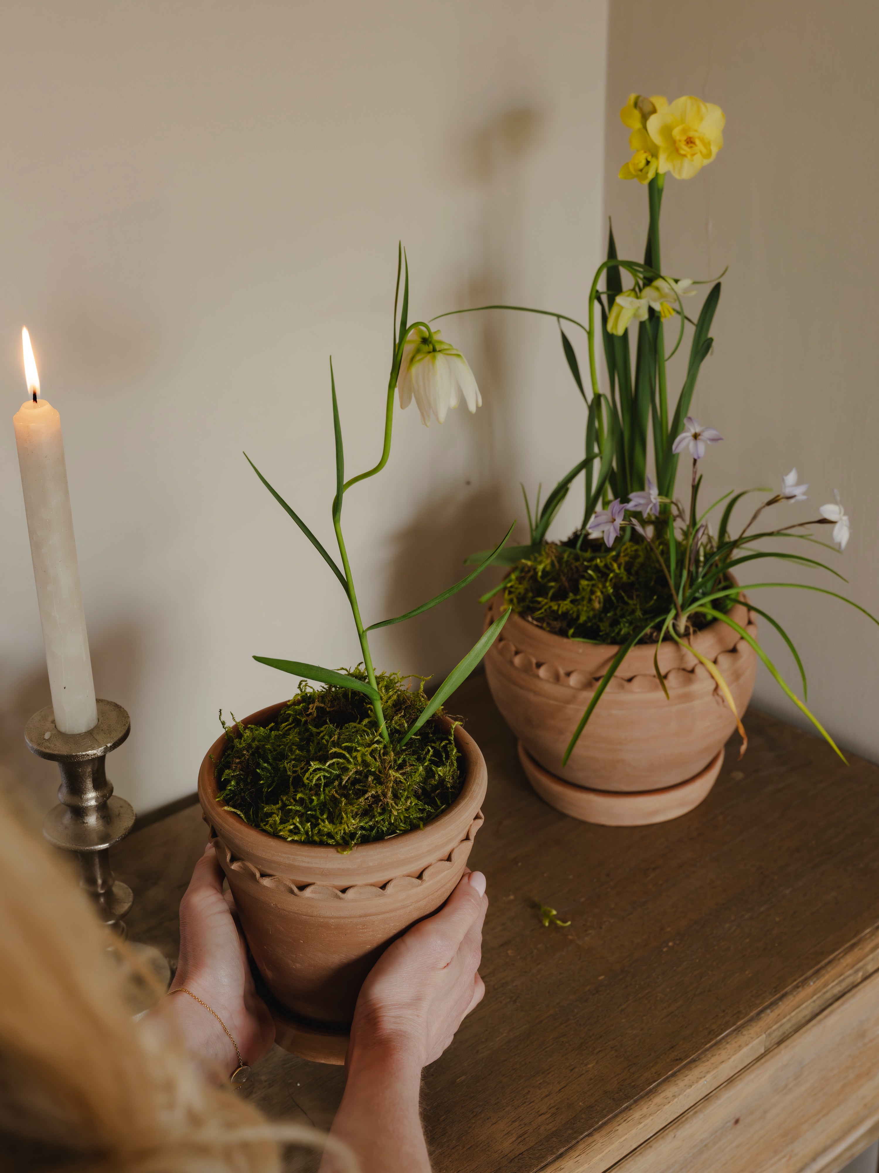 The Tuscan Plant Pot