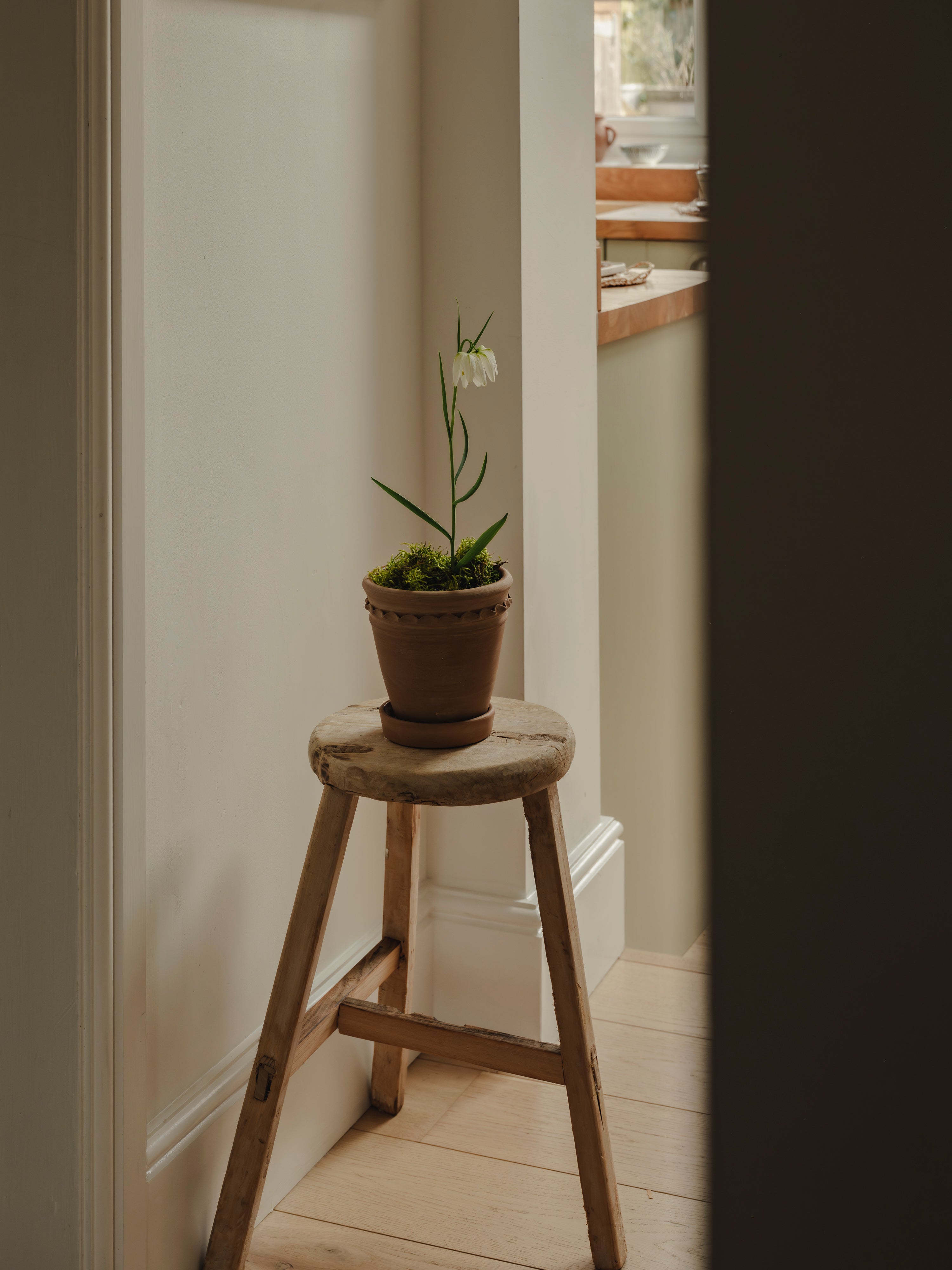 Rustic Reclaimed Round Stool