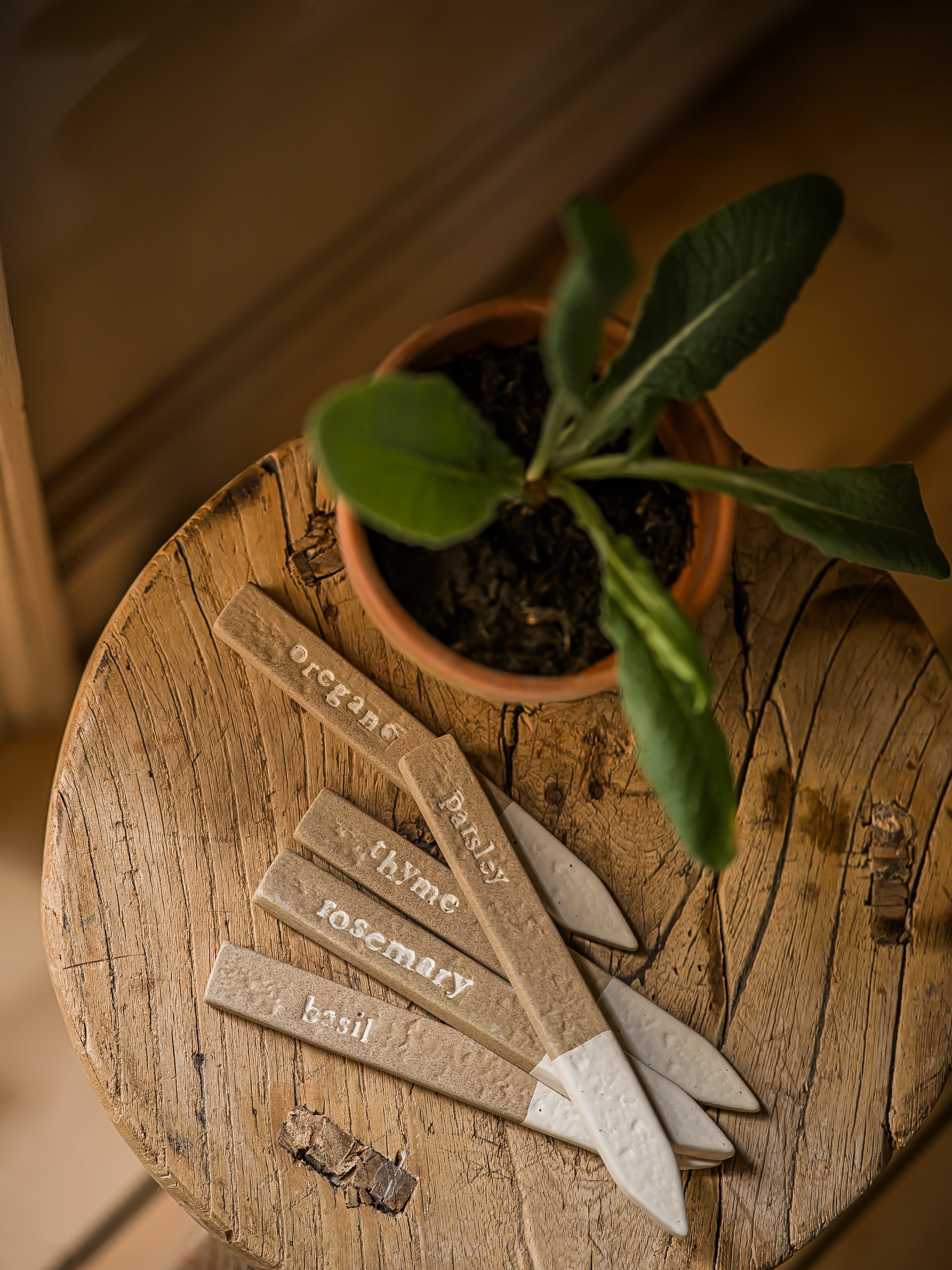 The Norfolk Collection | The Norfolk Herb Marker Set-Weathered Oat