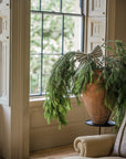 Small Stripe Bow - Pine Green