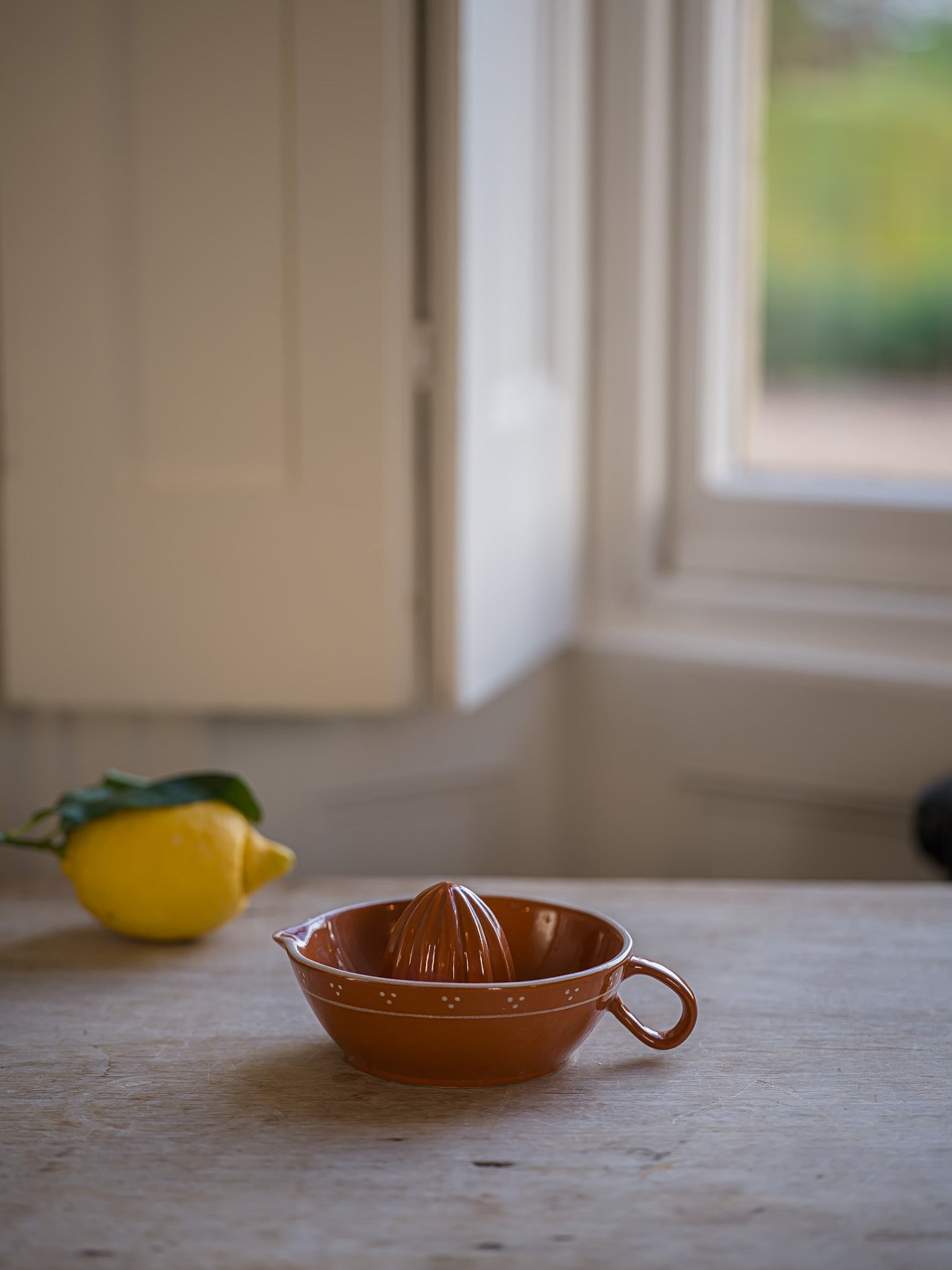 The Breakfast  Collection | Juicer | Terracotta
