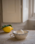 The Breakfast Collection | Juicer | Blue