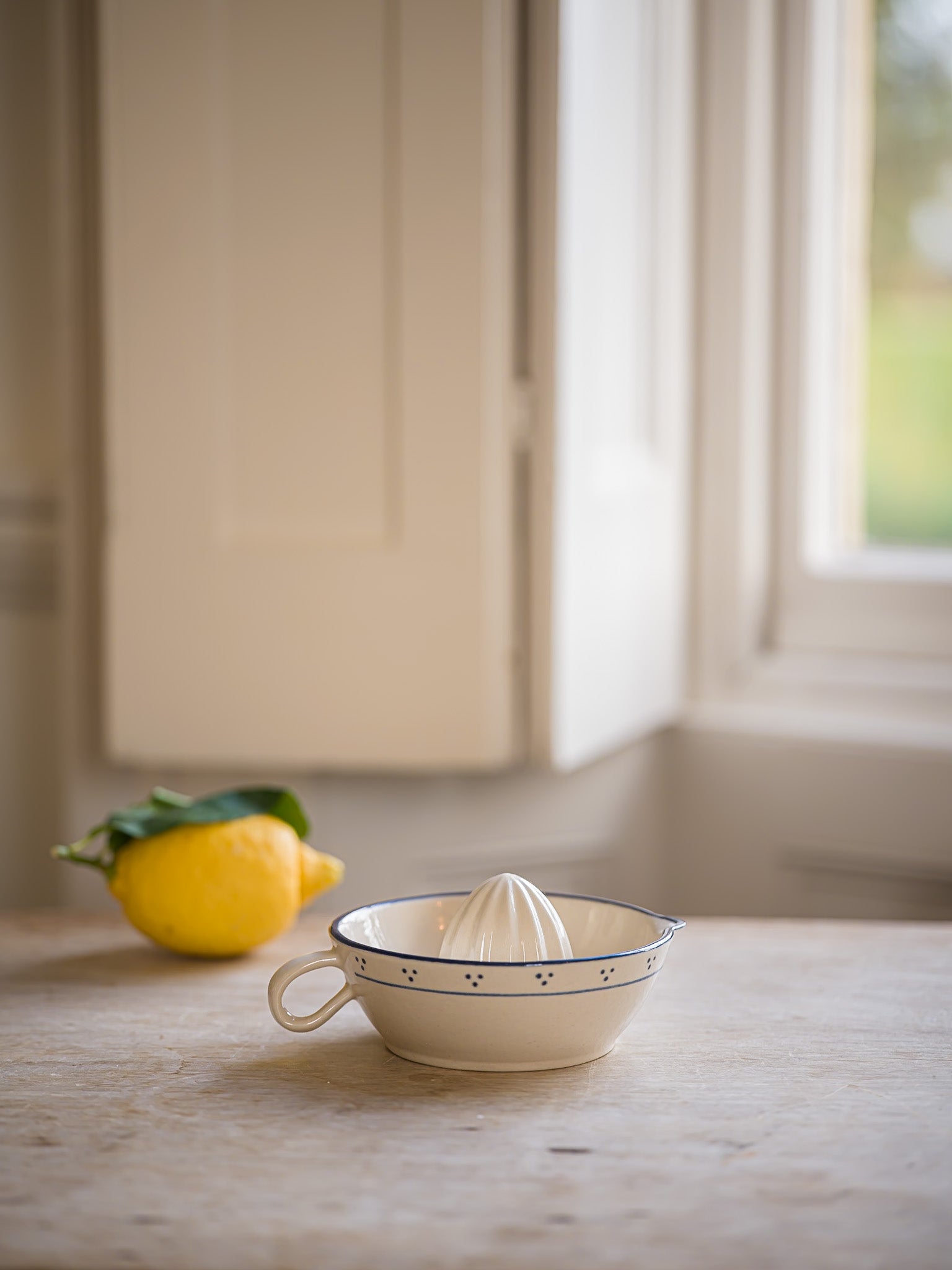 The Breakfast Collection | Juicer | Blue
