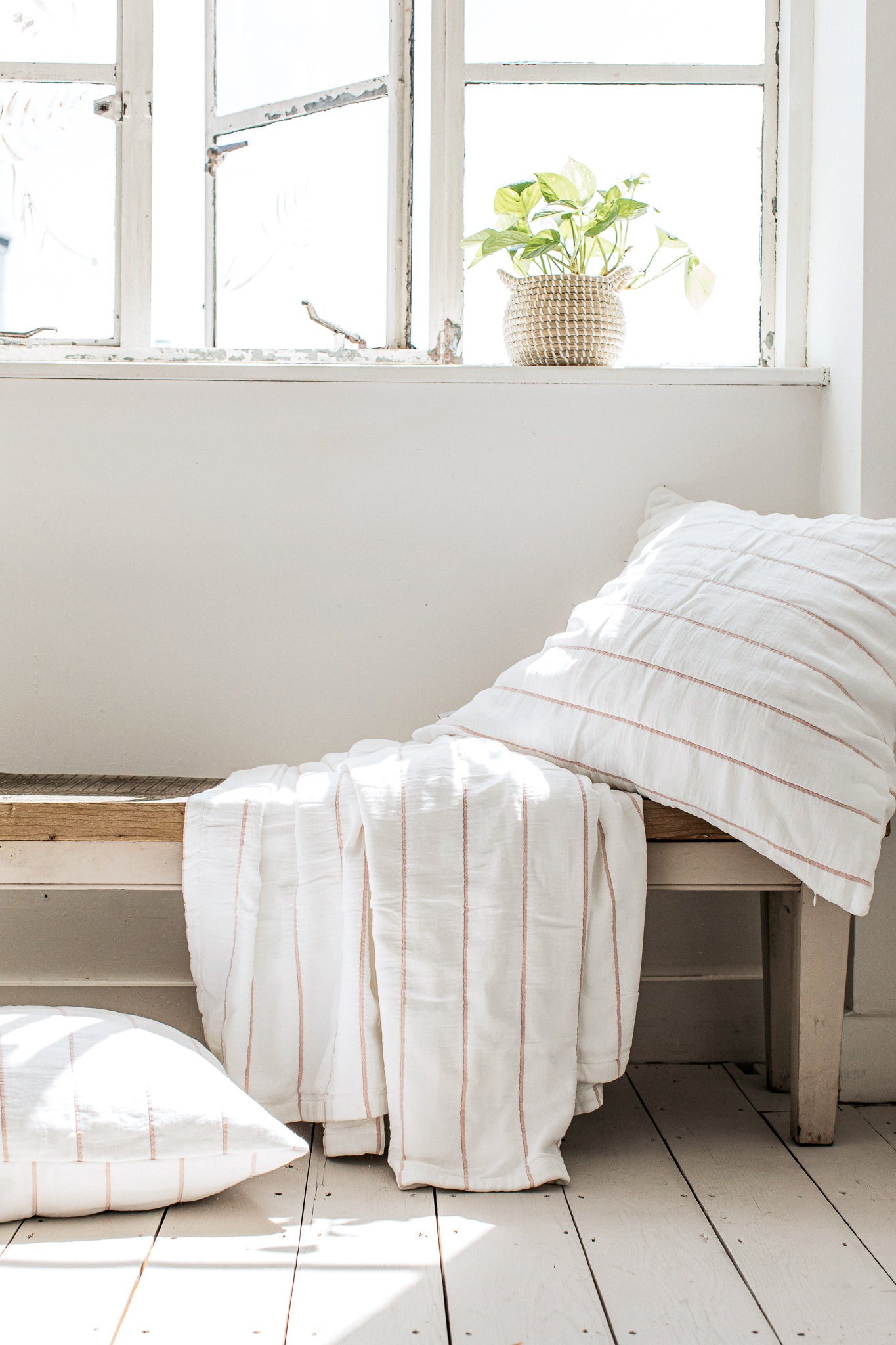 Isen Wide Stripe Cushion