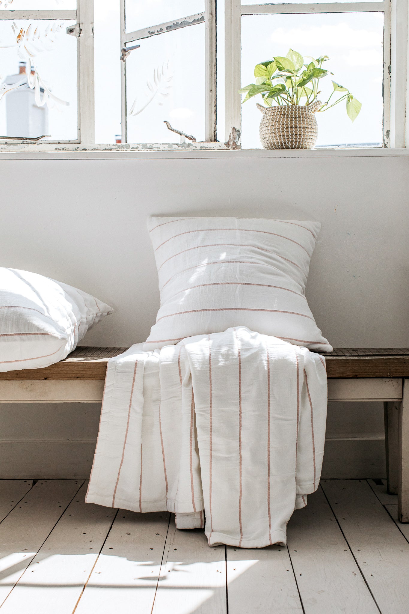 Isen Wide Stripe Cushion