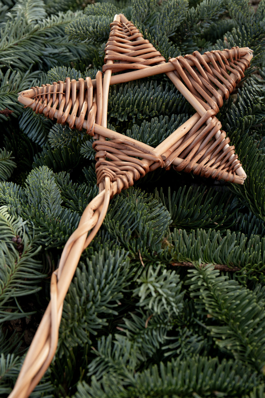 The Willow Star Topper