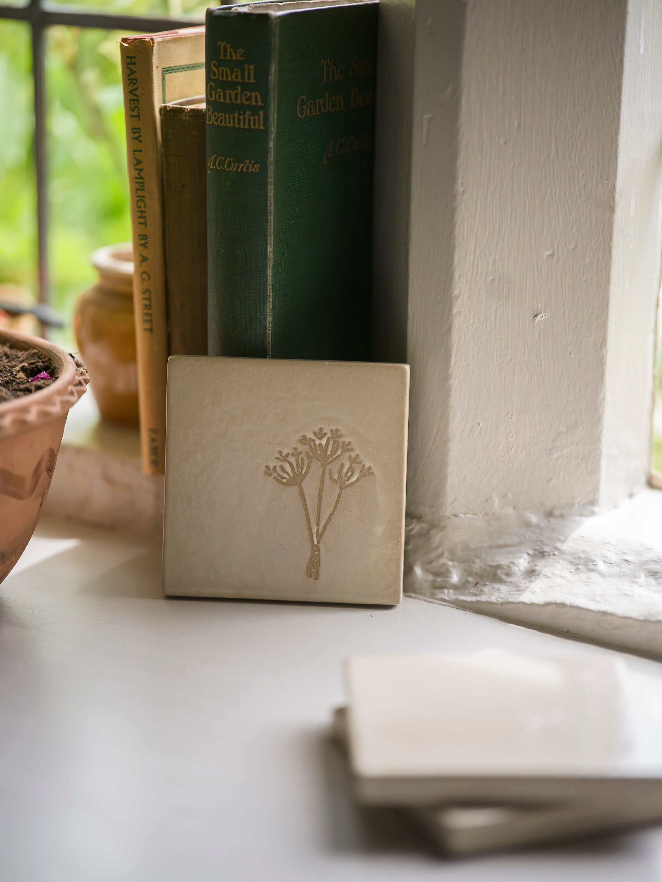 Studio Pottery Coaster | Cow Parsley