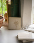 Studio Pottery Coaster | Cow Parsley