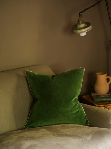 Indian Cotton Velvet Cushion | Parrot