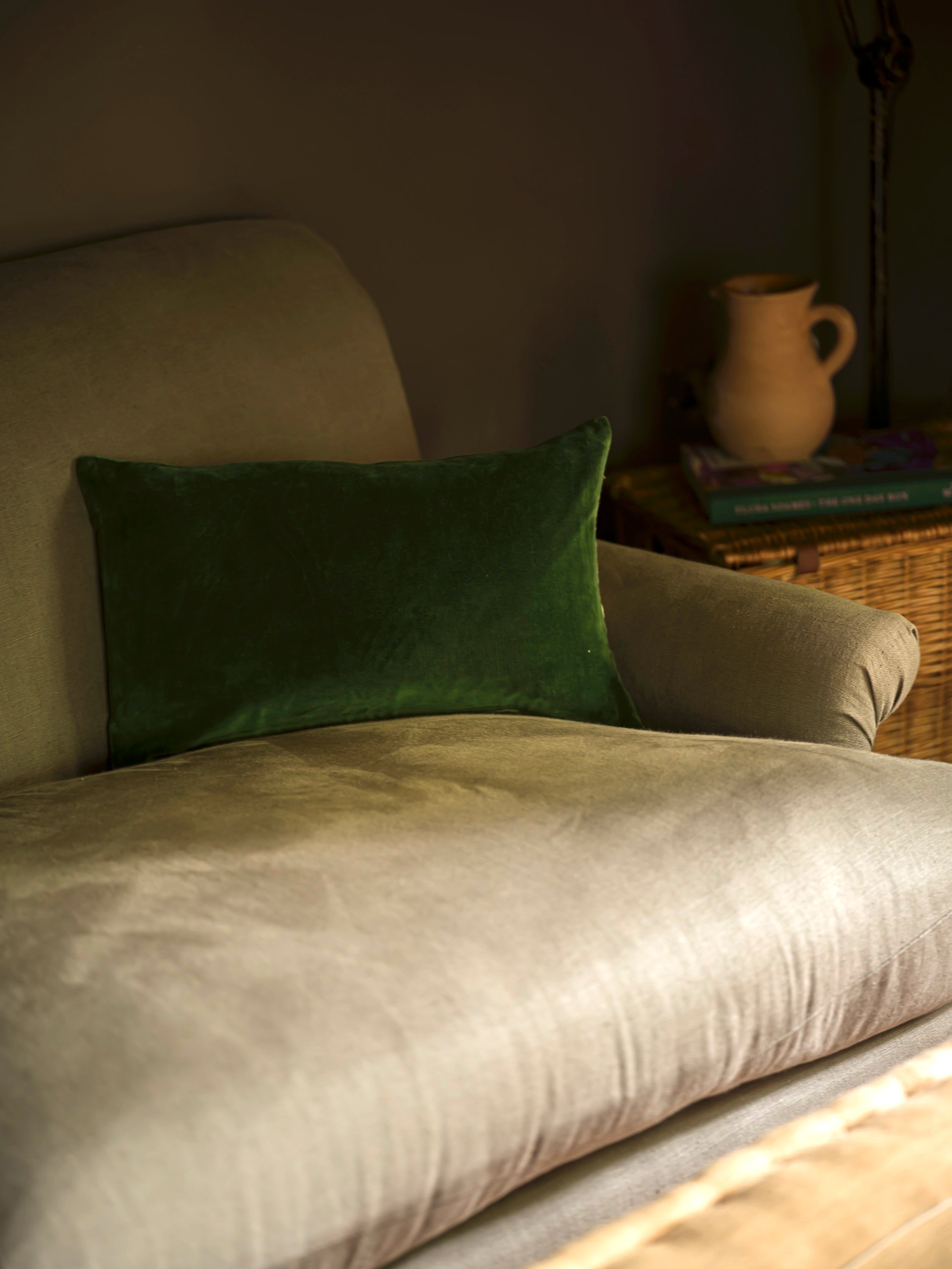 Indian Cotton Velvet Cushion | Parrot