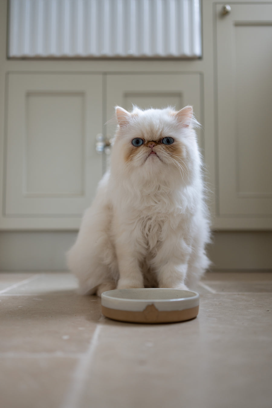 Stoneware Small Pet Bowl | Milk White