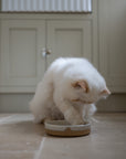 Stoneware Small Pet Bowl | Milk White